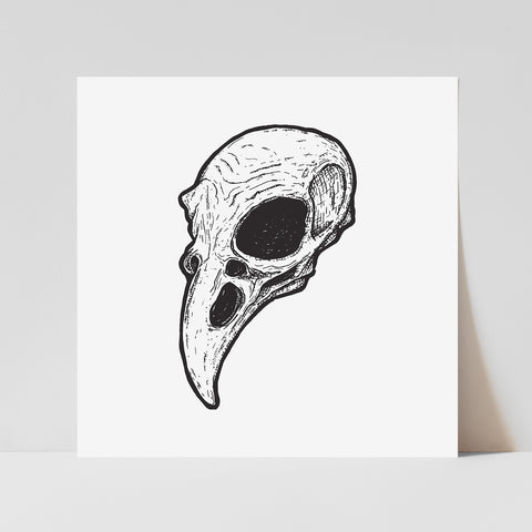 Raven Skull Print